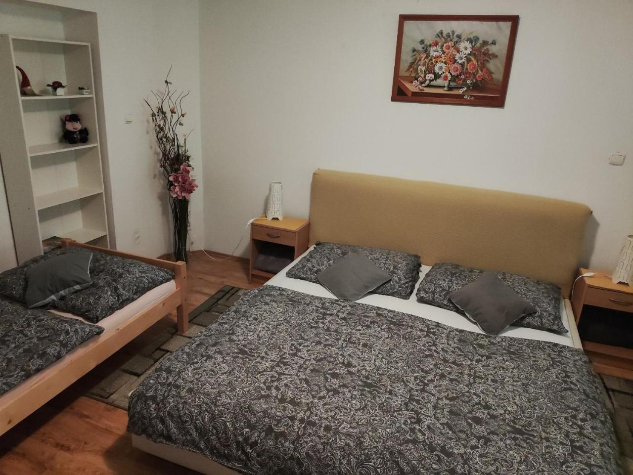 Stare KrecanyNa Kopci 84公寓 外观 照片